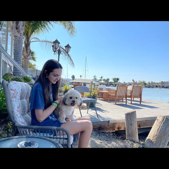 bellabrintnall